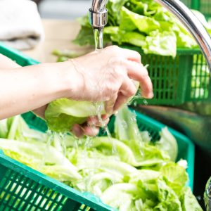 Hand washing leafy vegetable with running water in household sink Hand washing leafy green vegetable with running water in household sink to rid pesticides